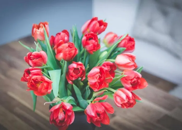 Rooftop - Mit Dachterrasse