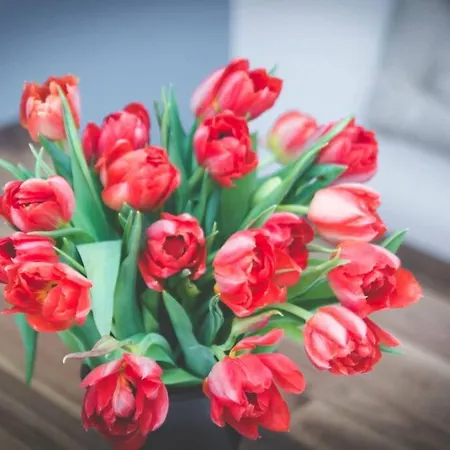 Rooftop - Mit Dachterrasse